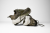 110475_319_Y_Ghost_Trail.png