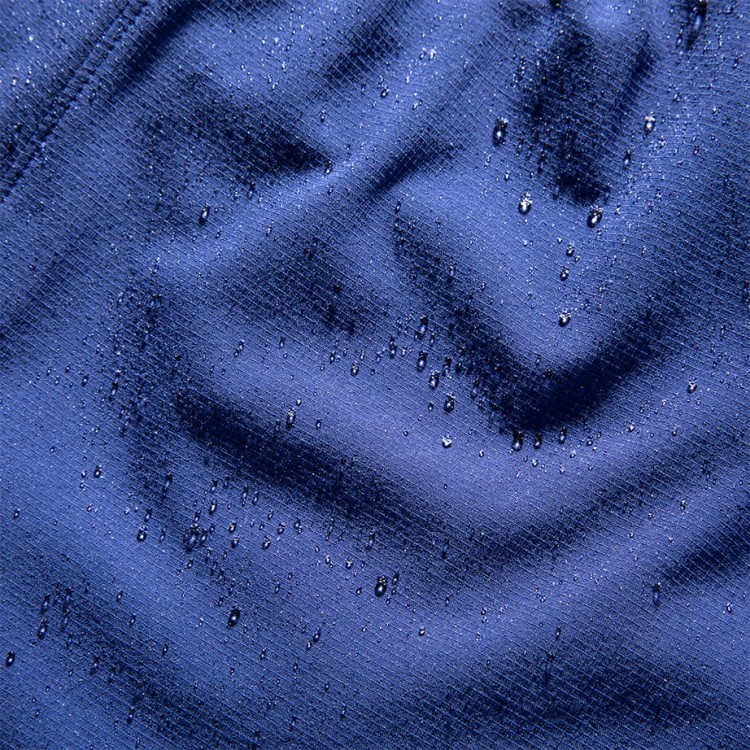221611_462_3.jpg